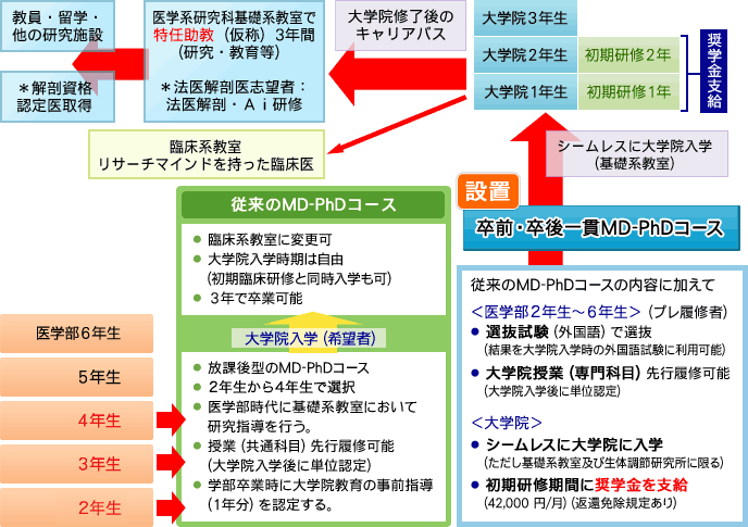コース図